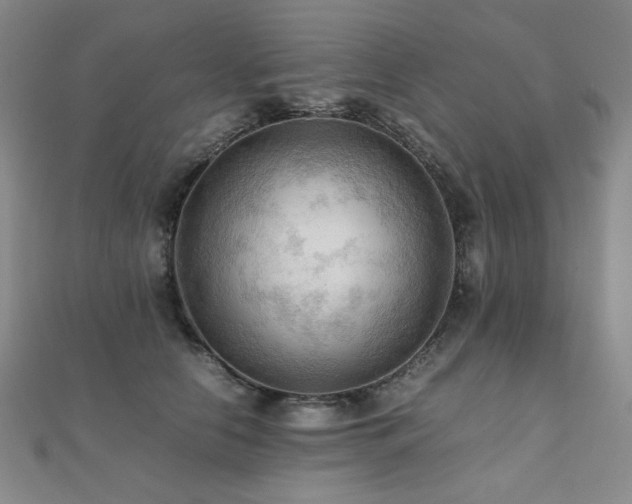 X0000112090658200908041451
