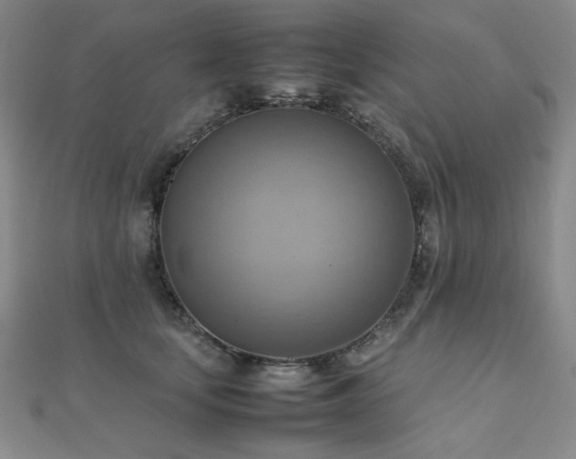 X0000112090659200908041451
