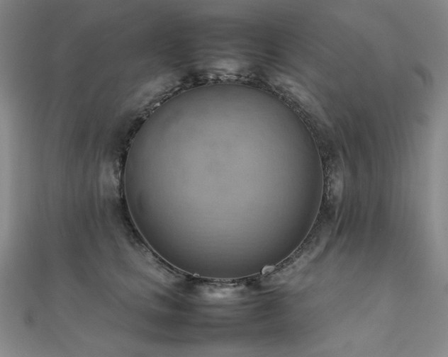 X0000112090661200908041451
