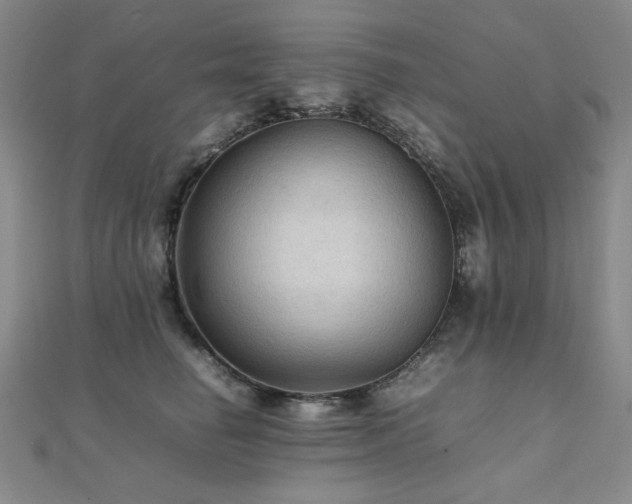 X0000112090662200908041451