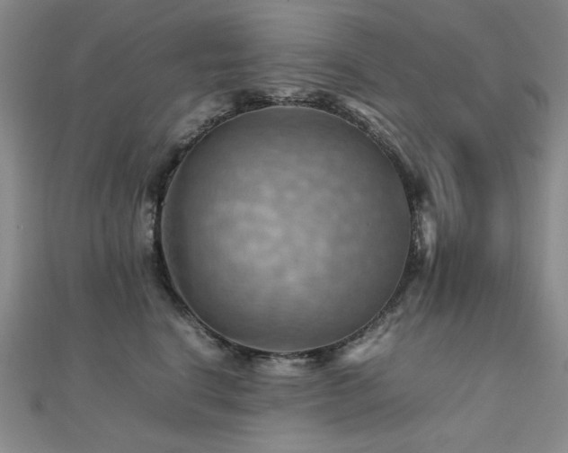 X0000112090664200908041451