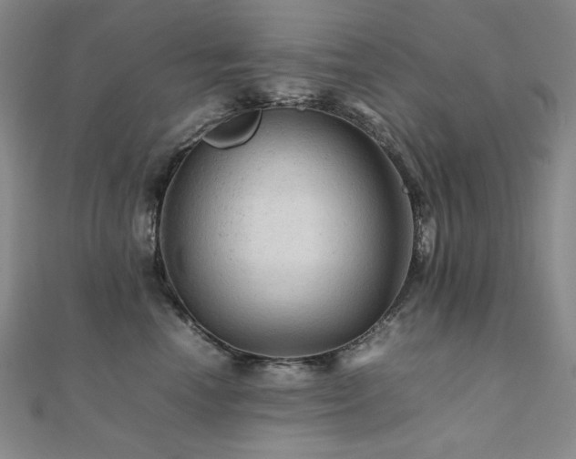 X0000112090666200908041451