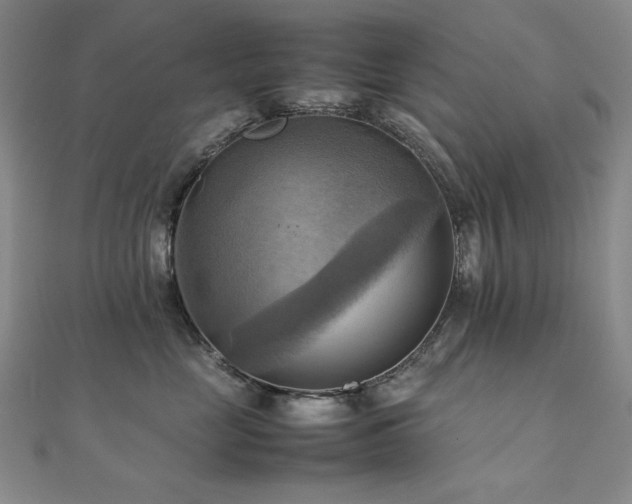 X0000112090669200908041451