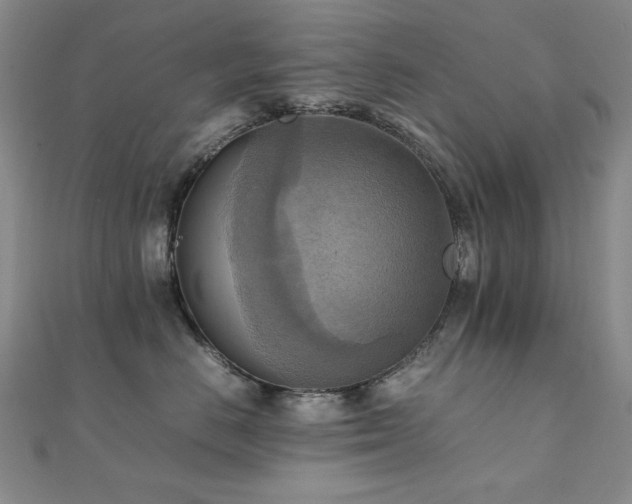 X0000112090670200908041451