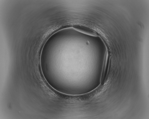 X0000112090673200908041450