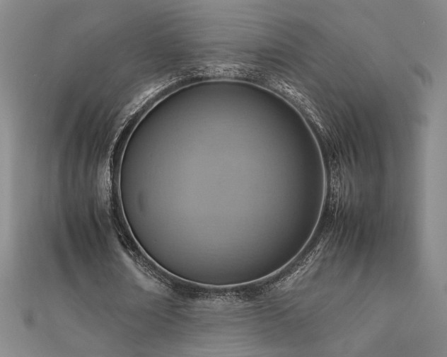 X0000112090674200908041450
