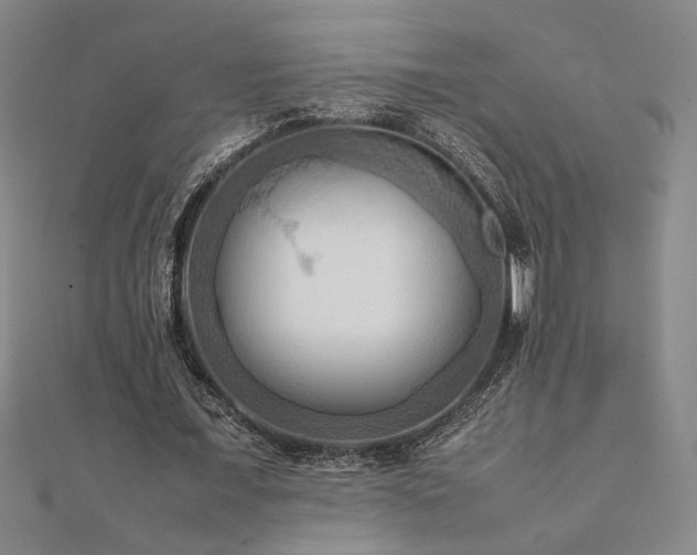 X0000112090675200908041450