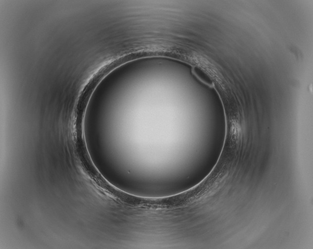 X0000112090676200908041450