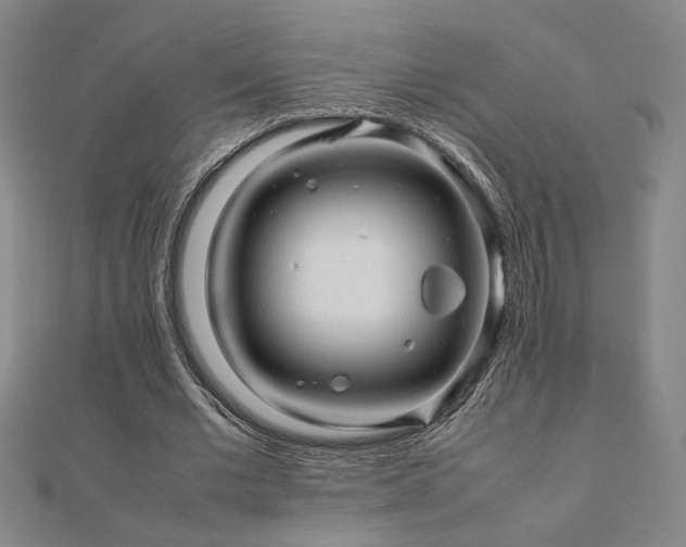 X0000112090677200908041450