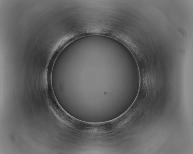 X0000112090678200908041450