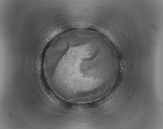 X0000112090679200908041450