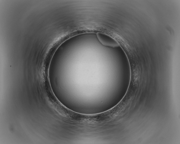 X0000112090680200908041450