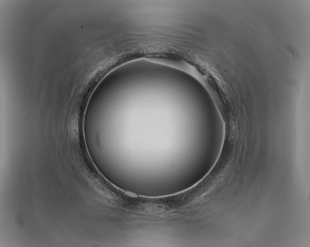 X0000112090681200908041450