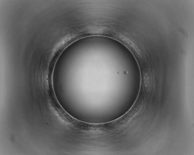 X0000112090682200908041450