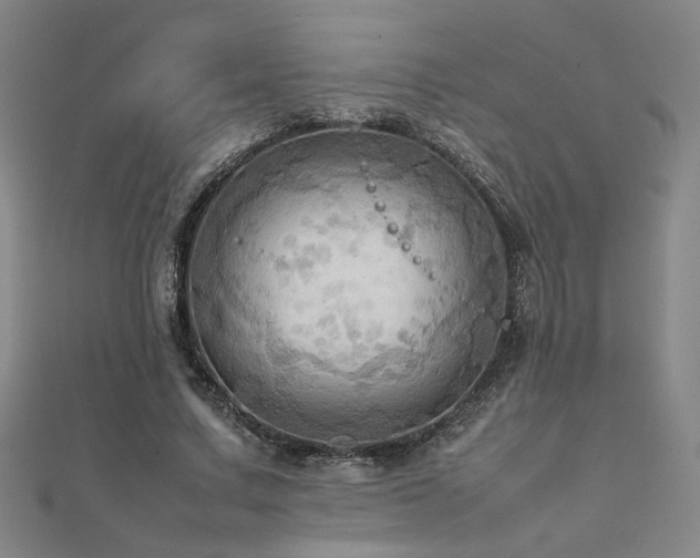 X0000112090683200908041450