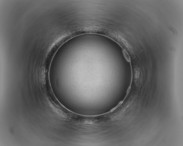 X0000112090684200908041450