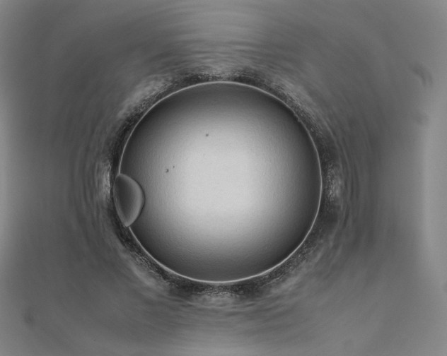 X0000112090685200908041450