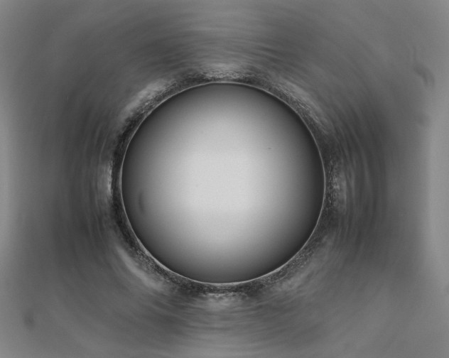 X0000112090686200908041450