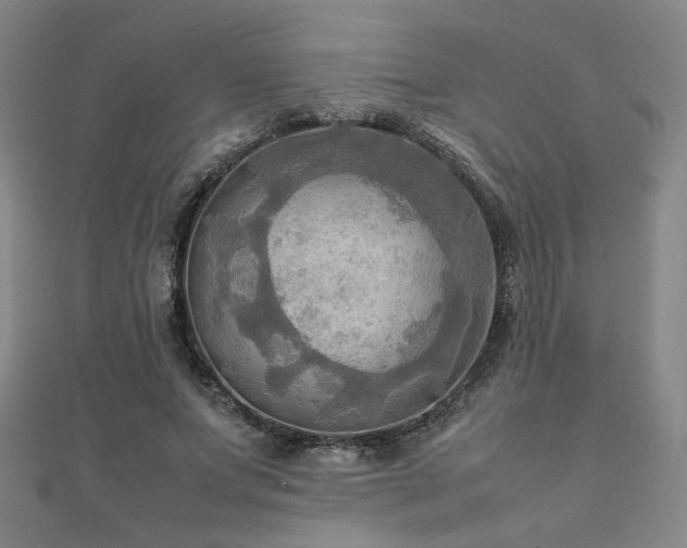 X0000112090687200908041450