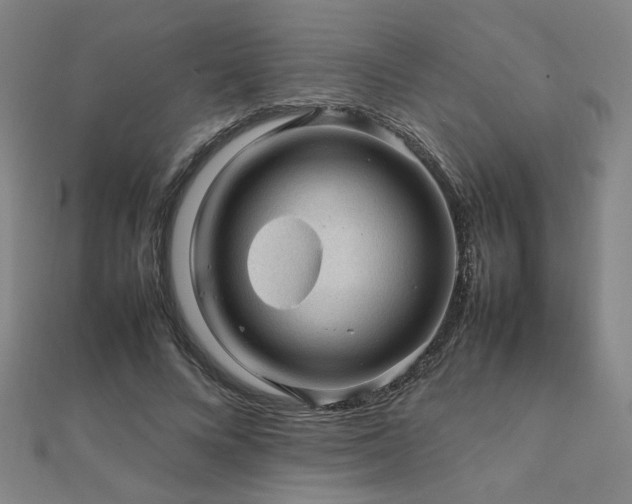 X0000112090688200908041450