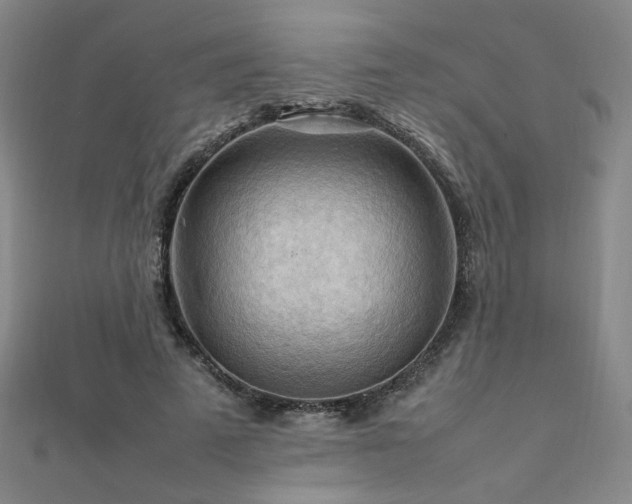 X0000112090689200908041450