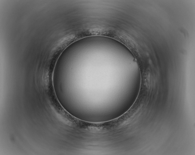 X0000112090690200908041450