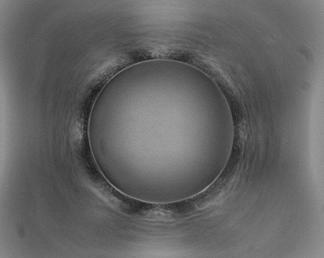 X0000112090691200908041450