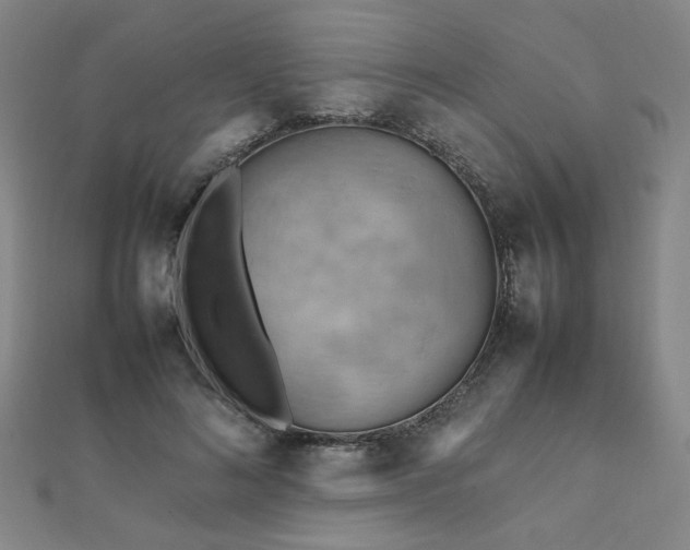 X0000112090692200908041450