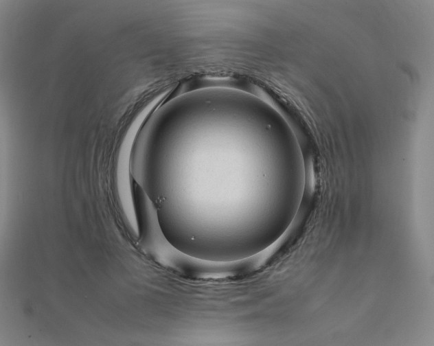 X0000112090693200908041450