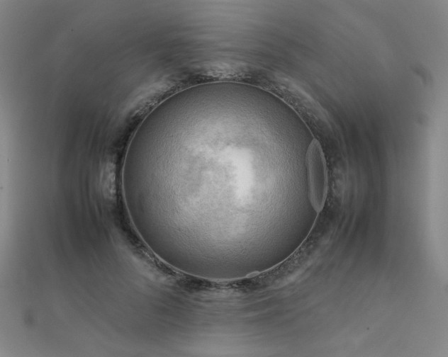 X0000112090696200908041450