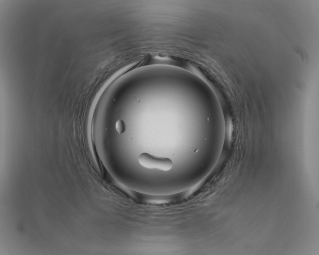X0000112090697200908041450