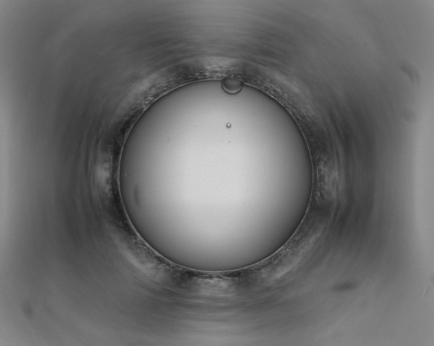 X0000112090698200908041450