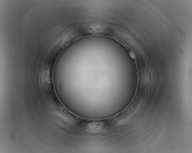 X0000112090700200908041450