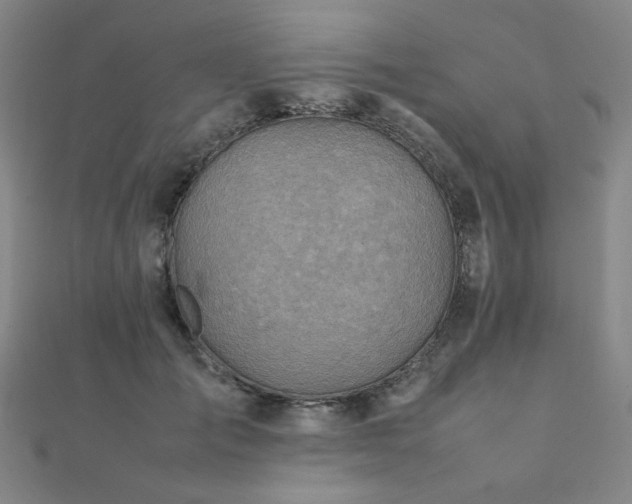 X0000112090701200908041450
