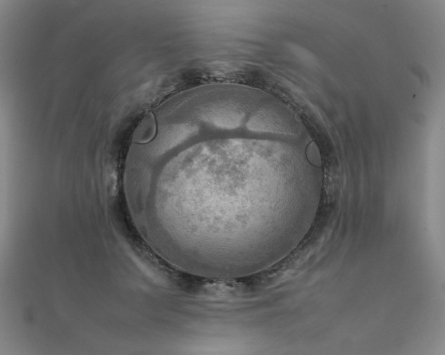 X0000112090703200908041450