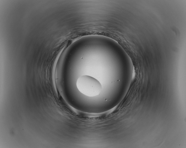 X0000112090704200908041450