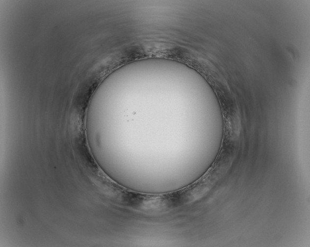 X0000112090705200908041450