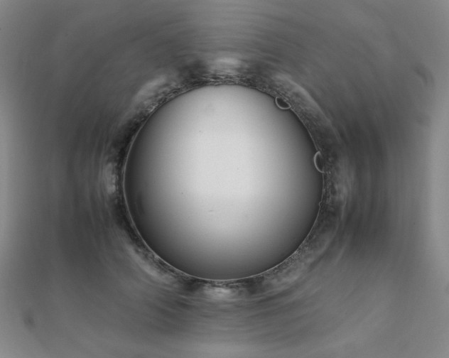 X0000112090706200908041450
