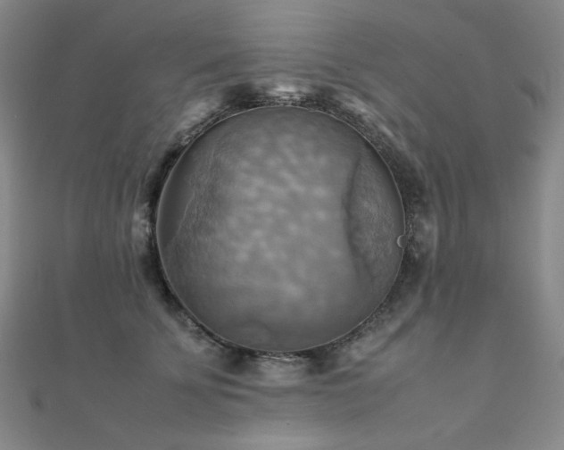 X0000112090707200908041450