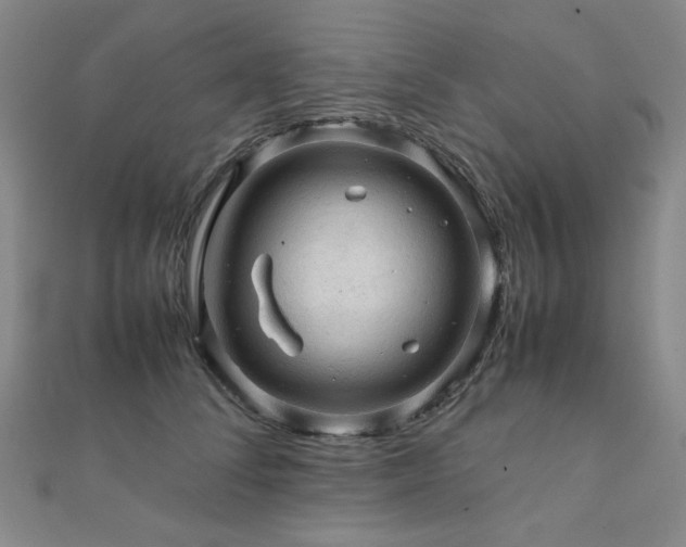 X0000112090708200908041450