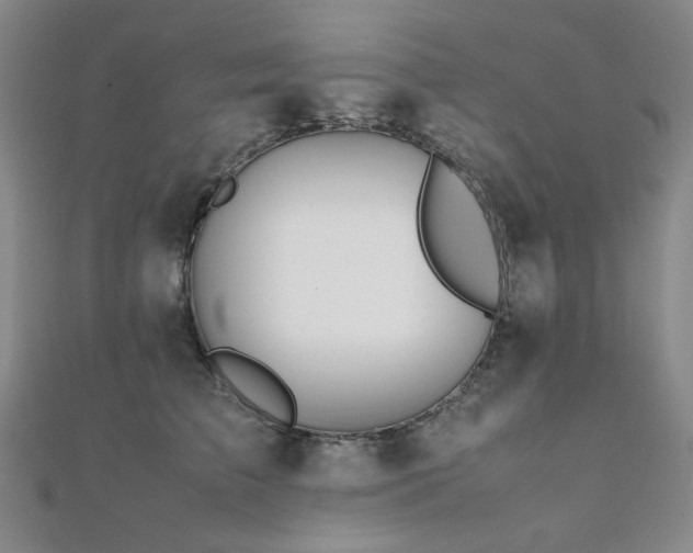 X0000112090709200908041450