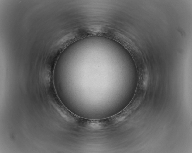 X0000112090710200908041450