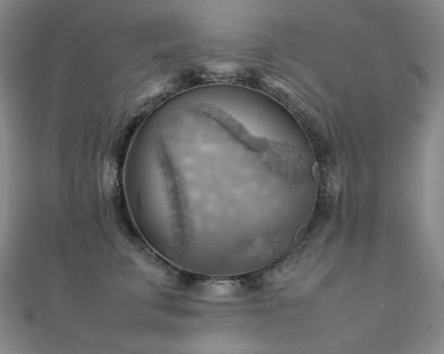X0000112090711200908041450