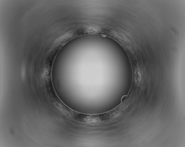 X0000112090714200908041450