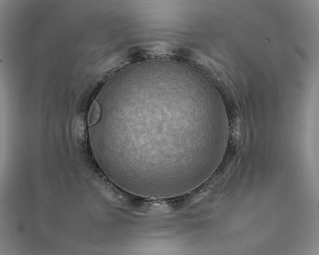 X0000112090715200908041450