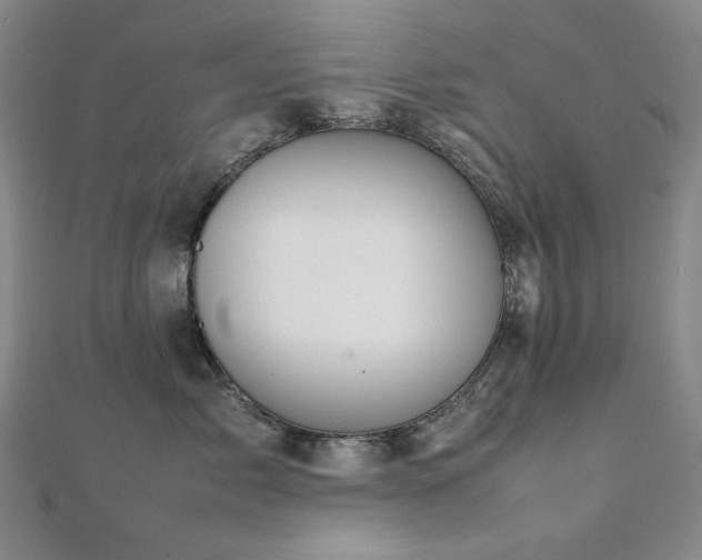 X0000112090717200908041450