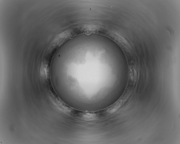 X0000112090718200908041450