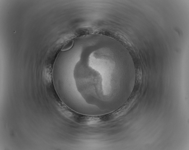 X0000112090719200908041450