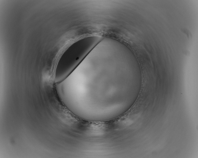 X0000112090720200908041450