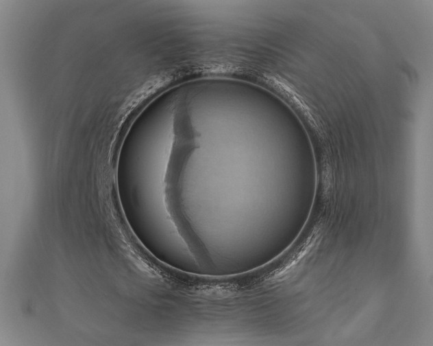 X0000112090721200908041449